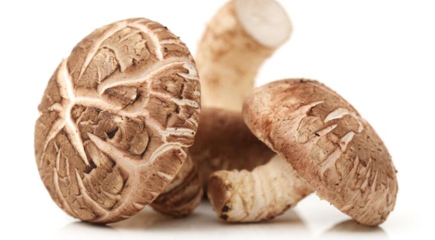 Weiprost conține ciuperci shiitake